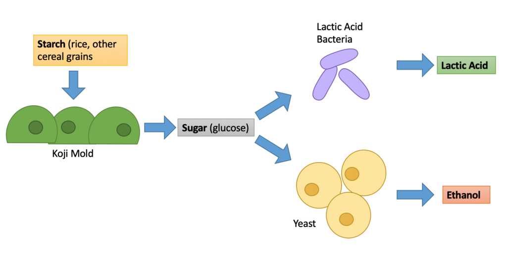 Lesson image