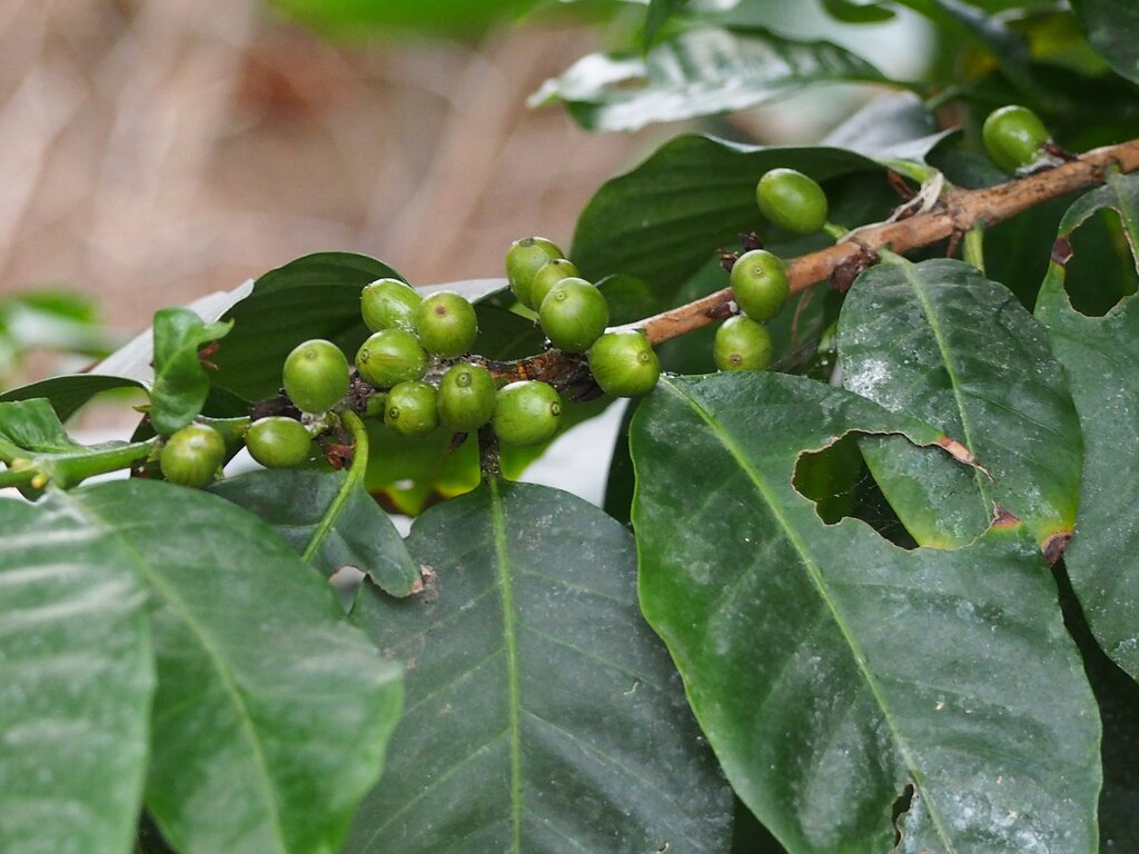 Lesson image