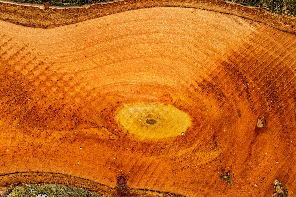 Lesson image