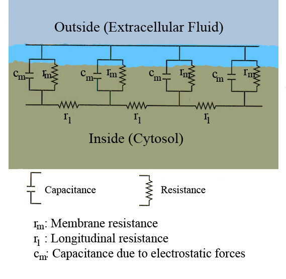 Lesson image