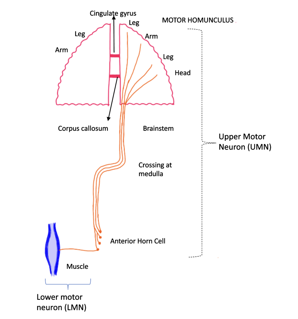 Lesson image