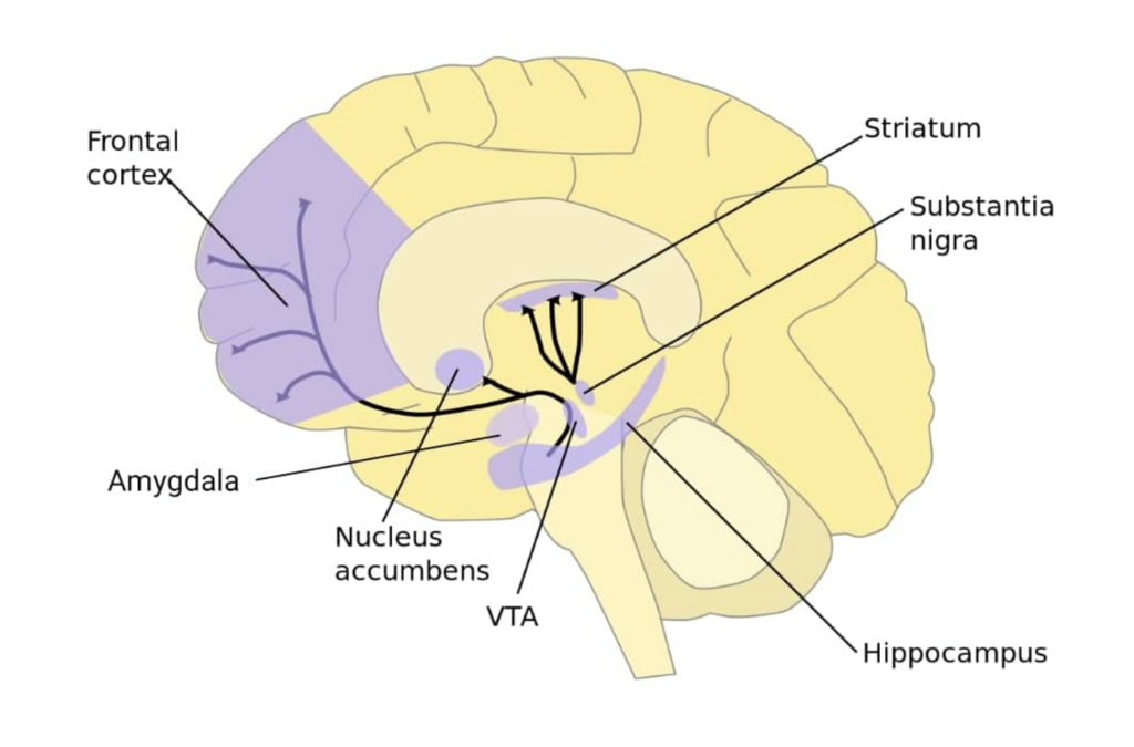 Lesson image