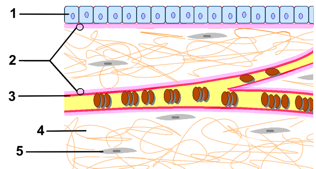Lesson image