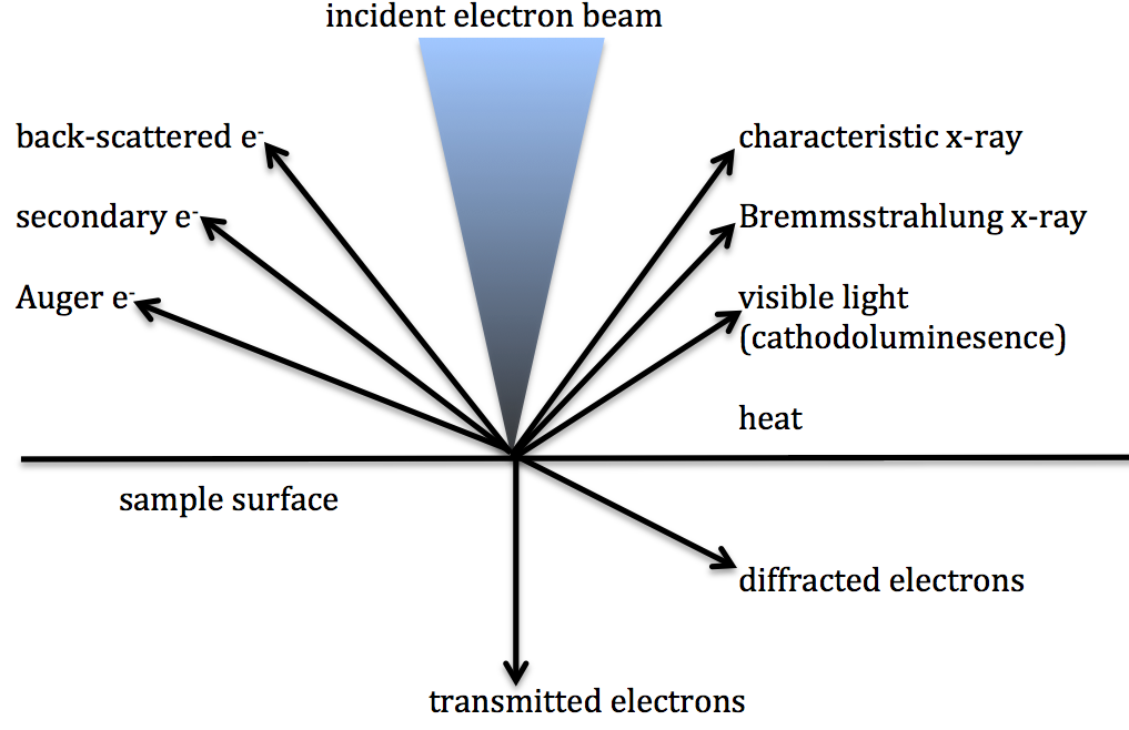Lesson image