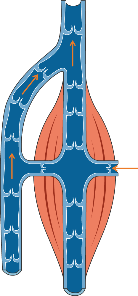 Lesson image