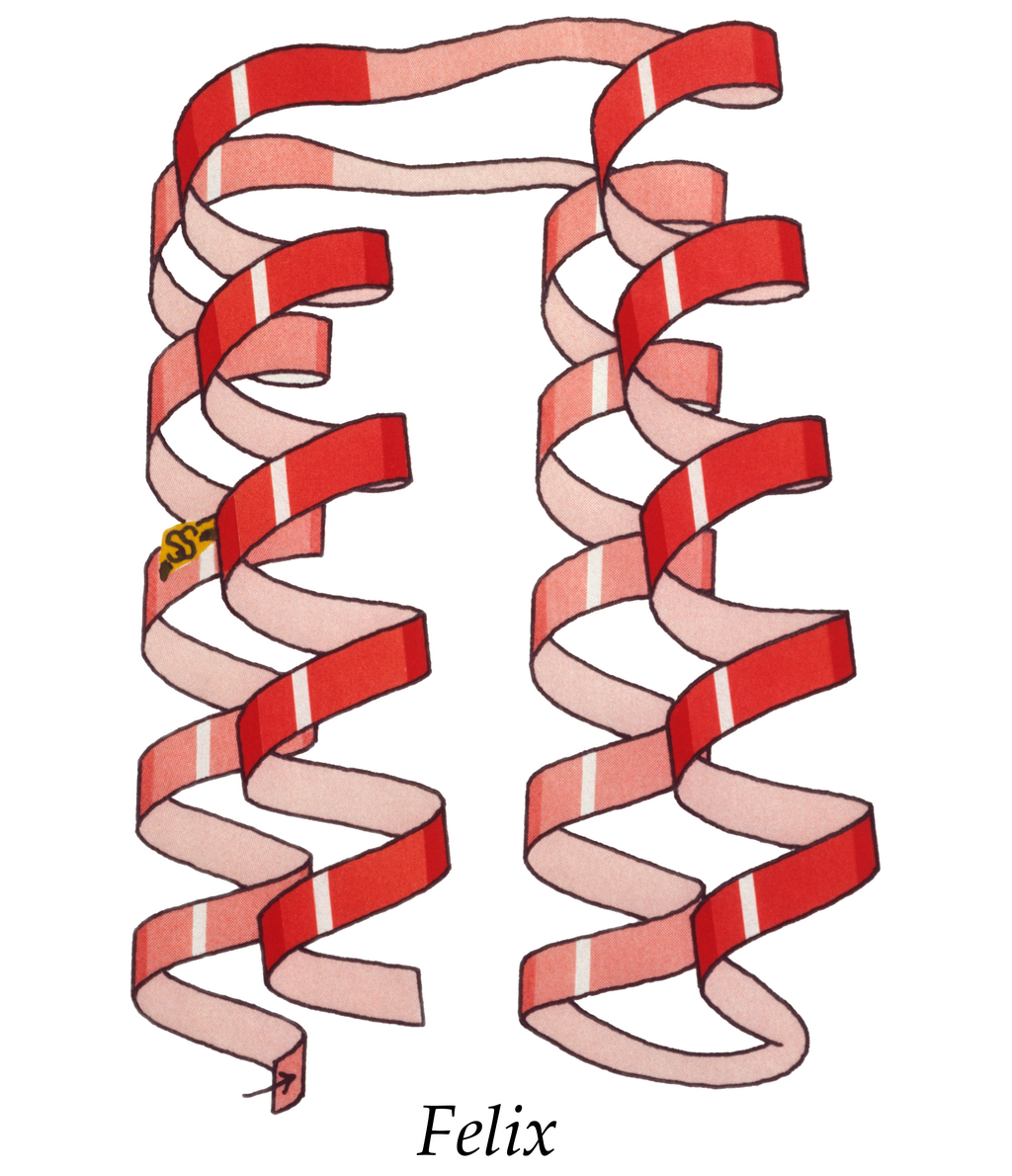 Lesson image