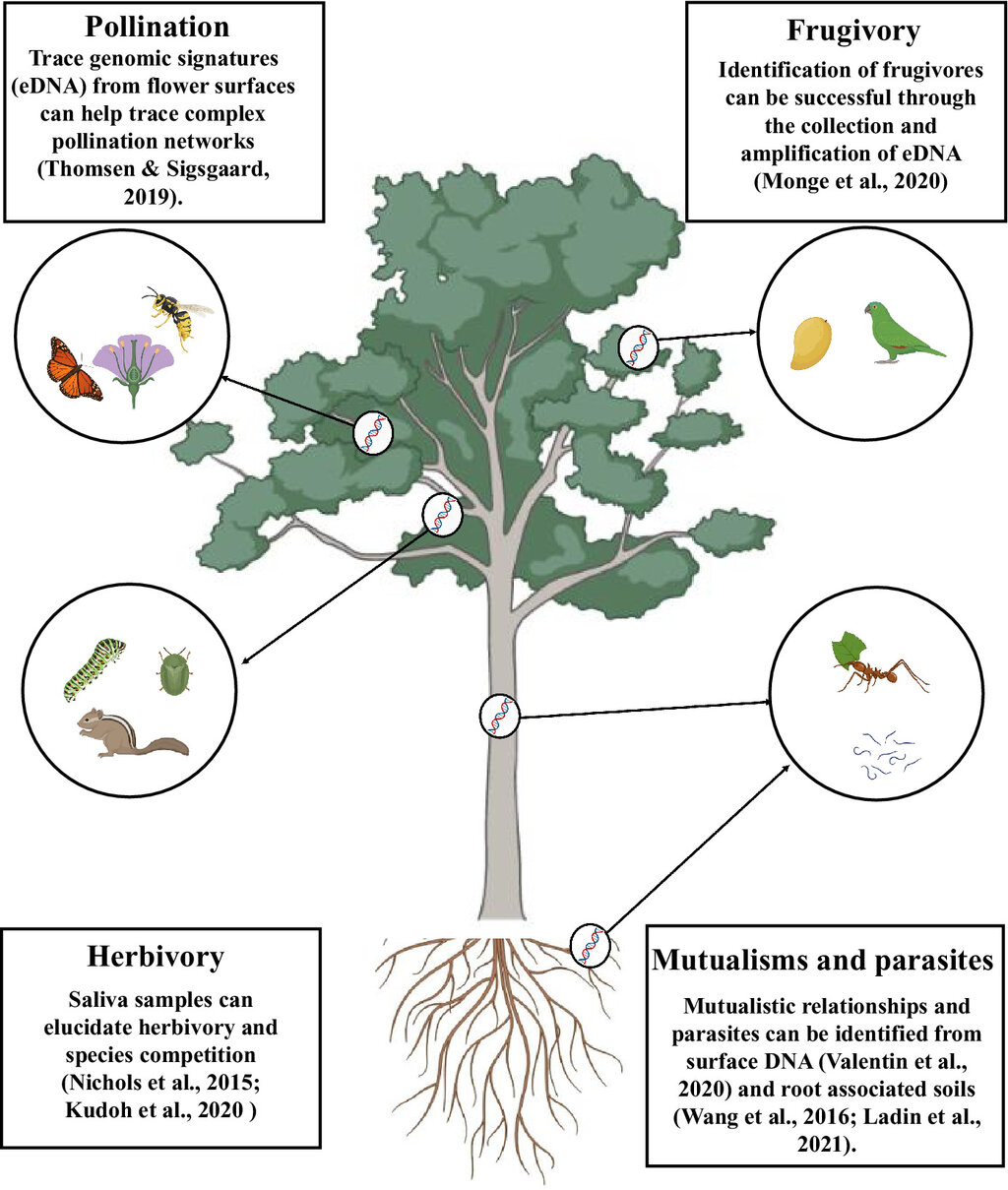 Lesson image
