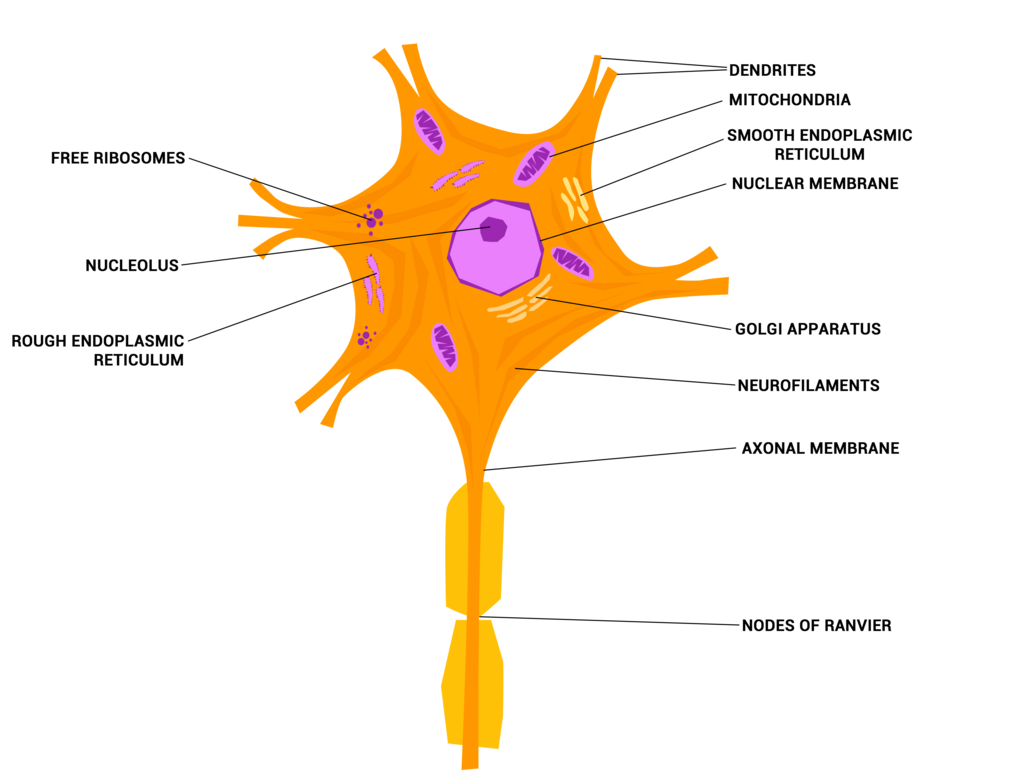 Lesson image