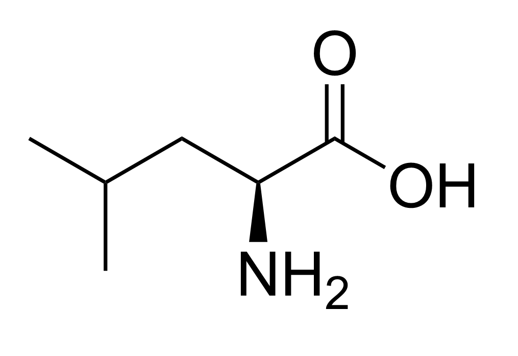 Lesson image