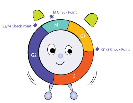 Lesson image