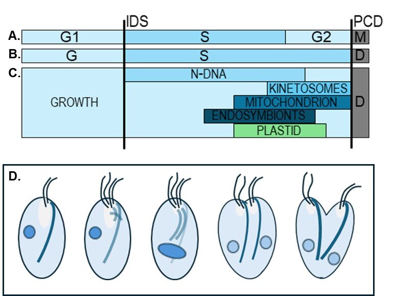 Lesson image