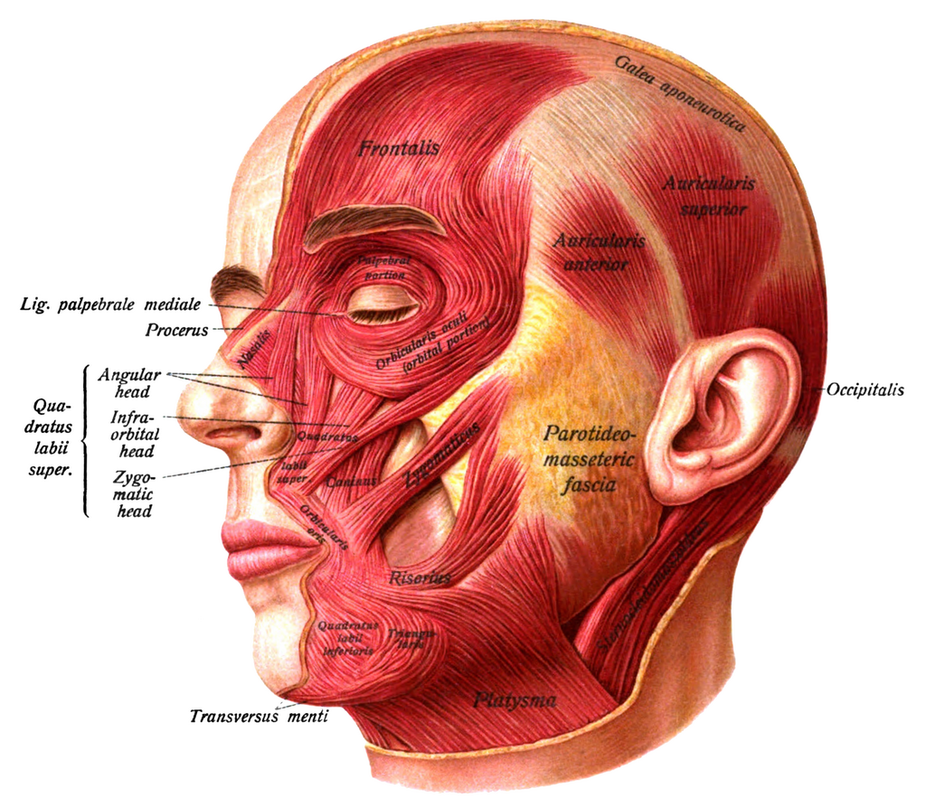 Lesson image