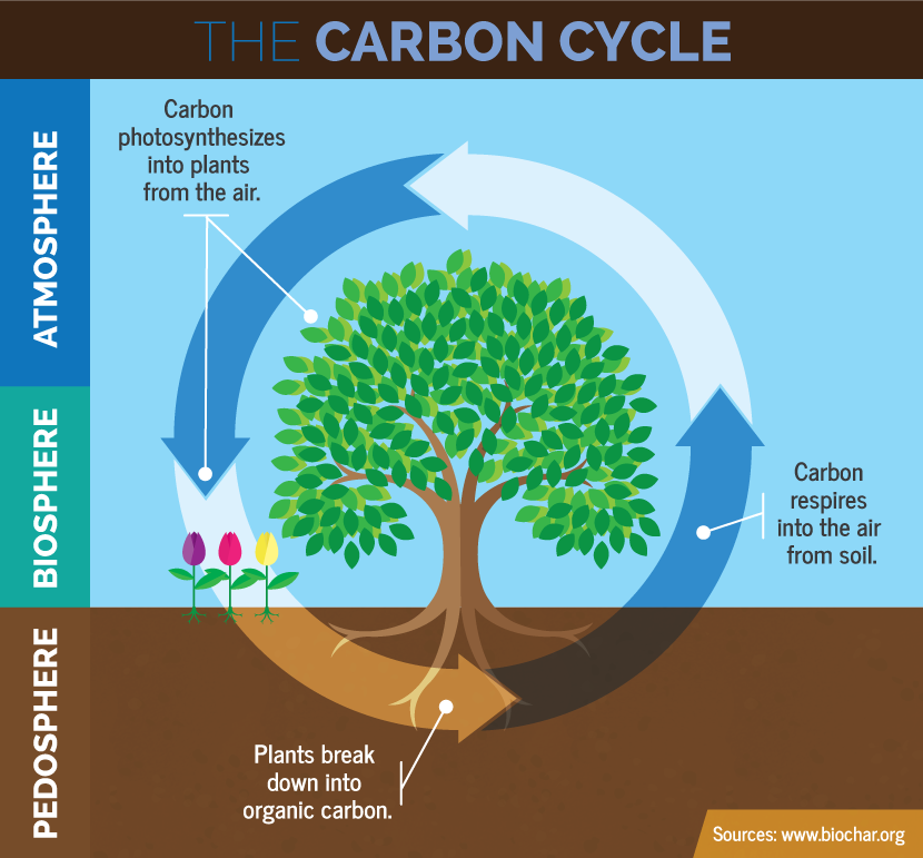 Lesson image