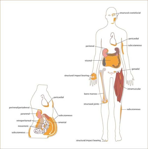 Lesson image