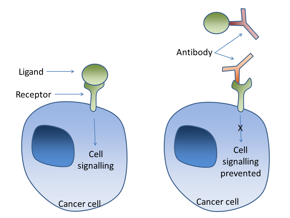 Lesson image