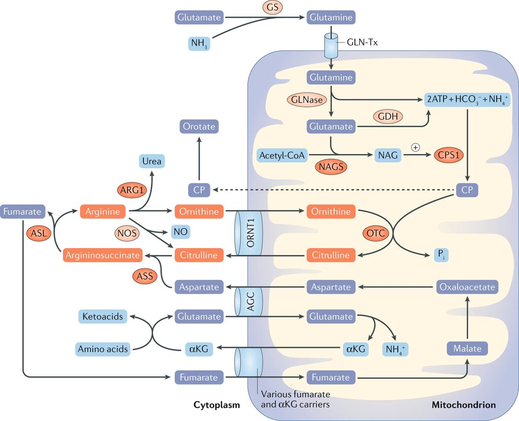 Lesson image