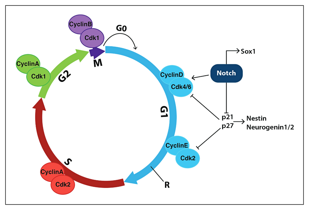 Lesson image