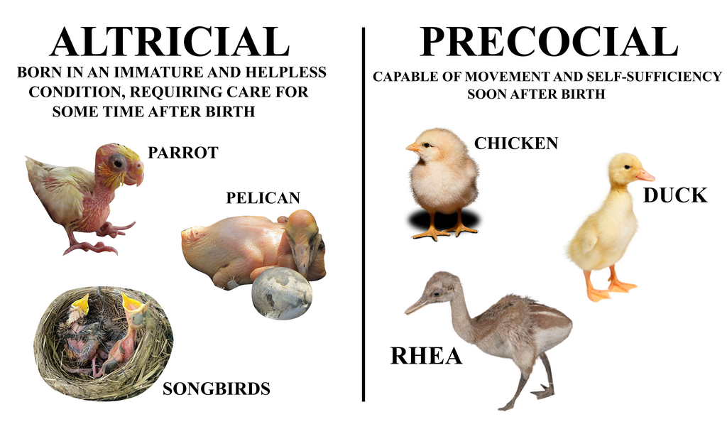 Lesson image