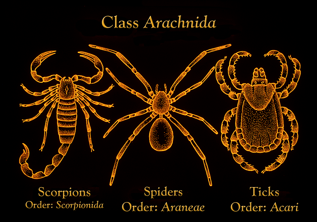 Lesson image