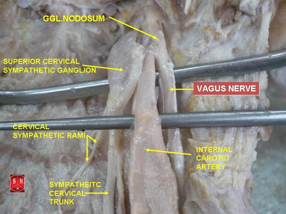 Lesson image