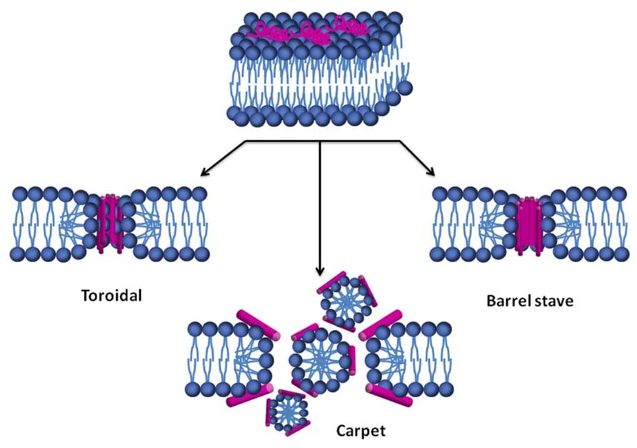 Lesson image