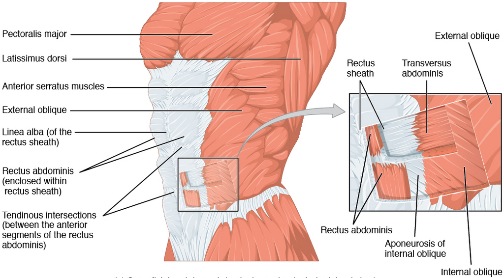 Lesson image
