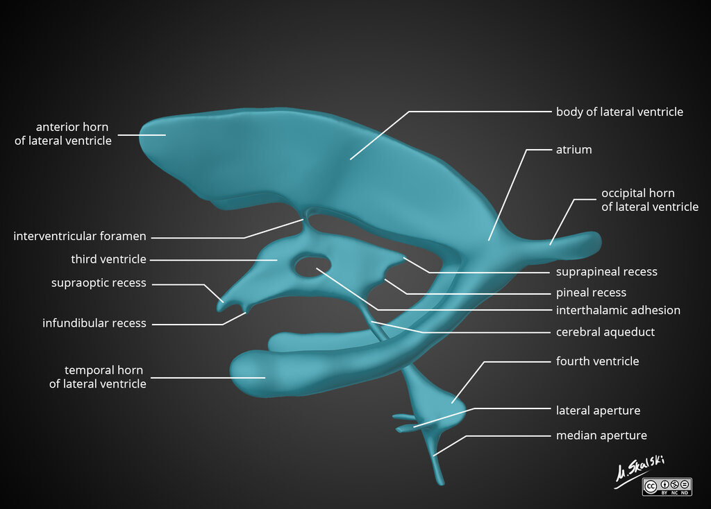 Lesson image