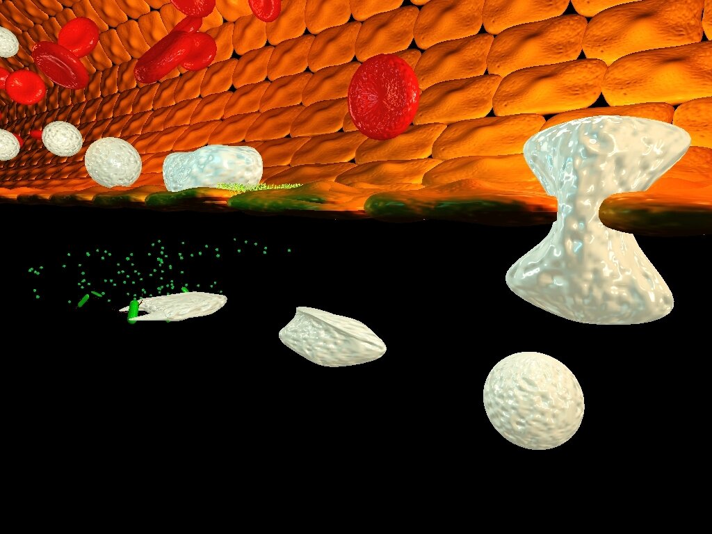 Lesson image