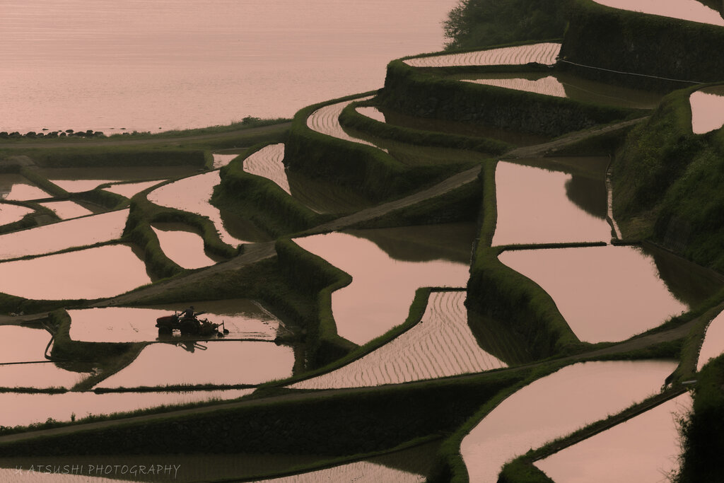 Lesson image