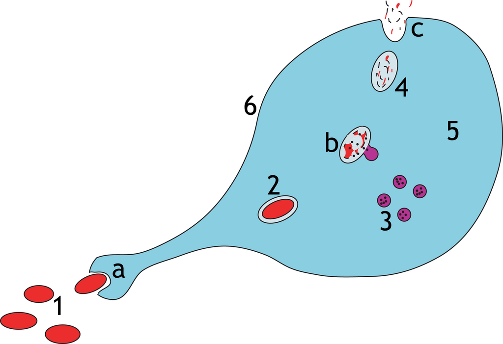 Lesson image