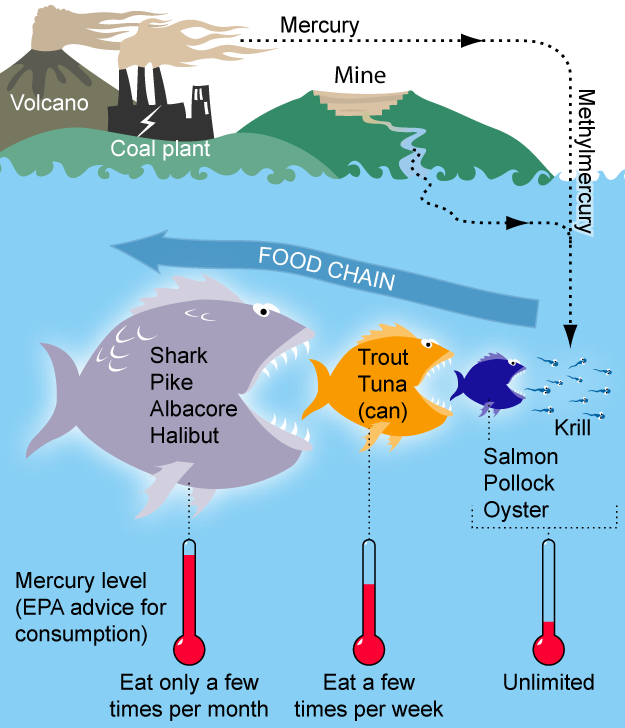 Lesson image
