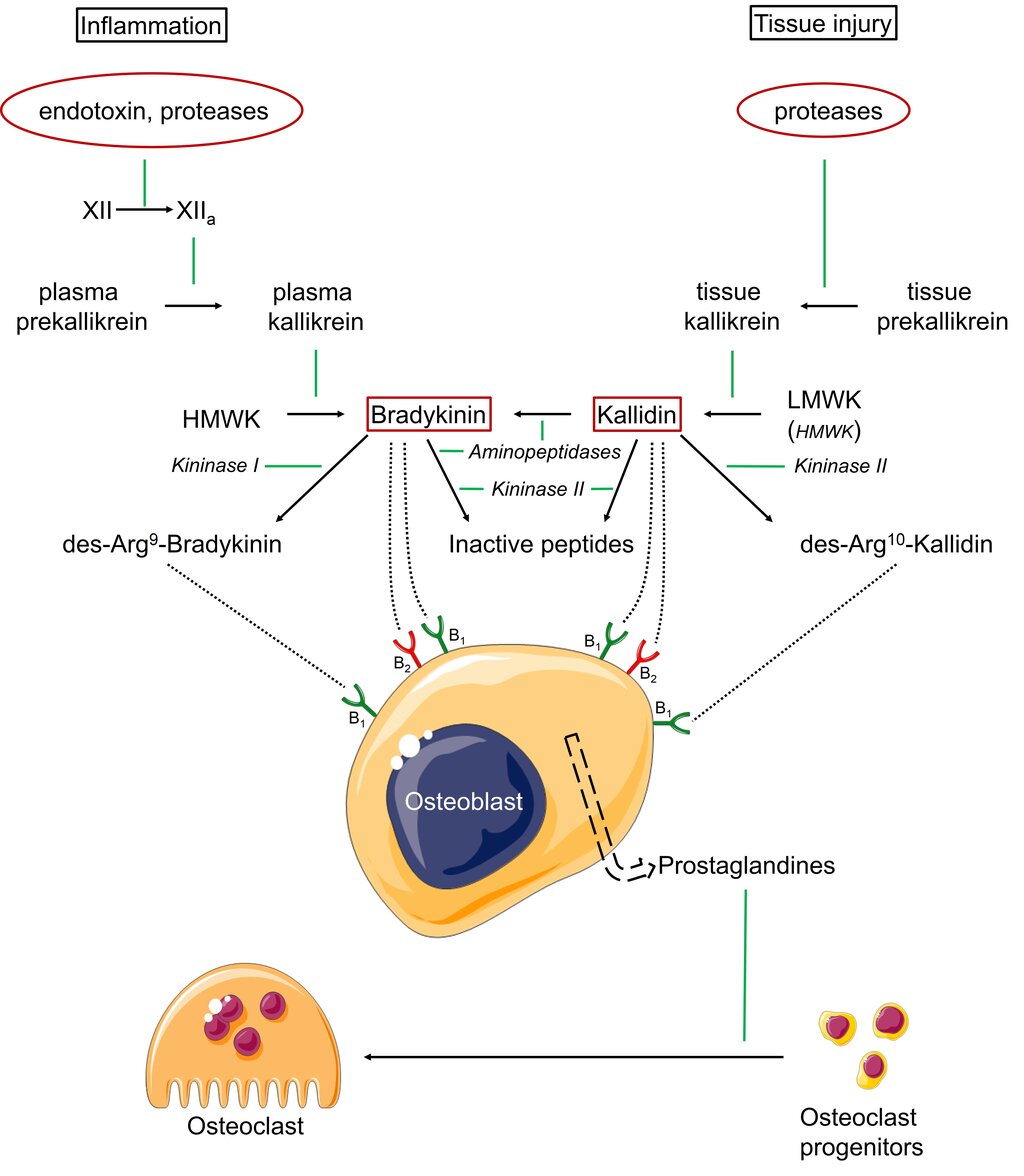 Lesson image