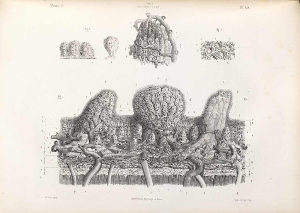 Lesson image
