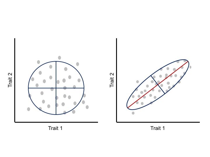 Lesson image