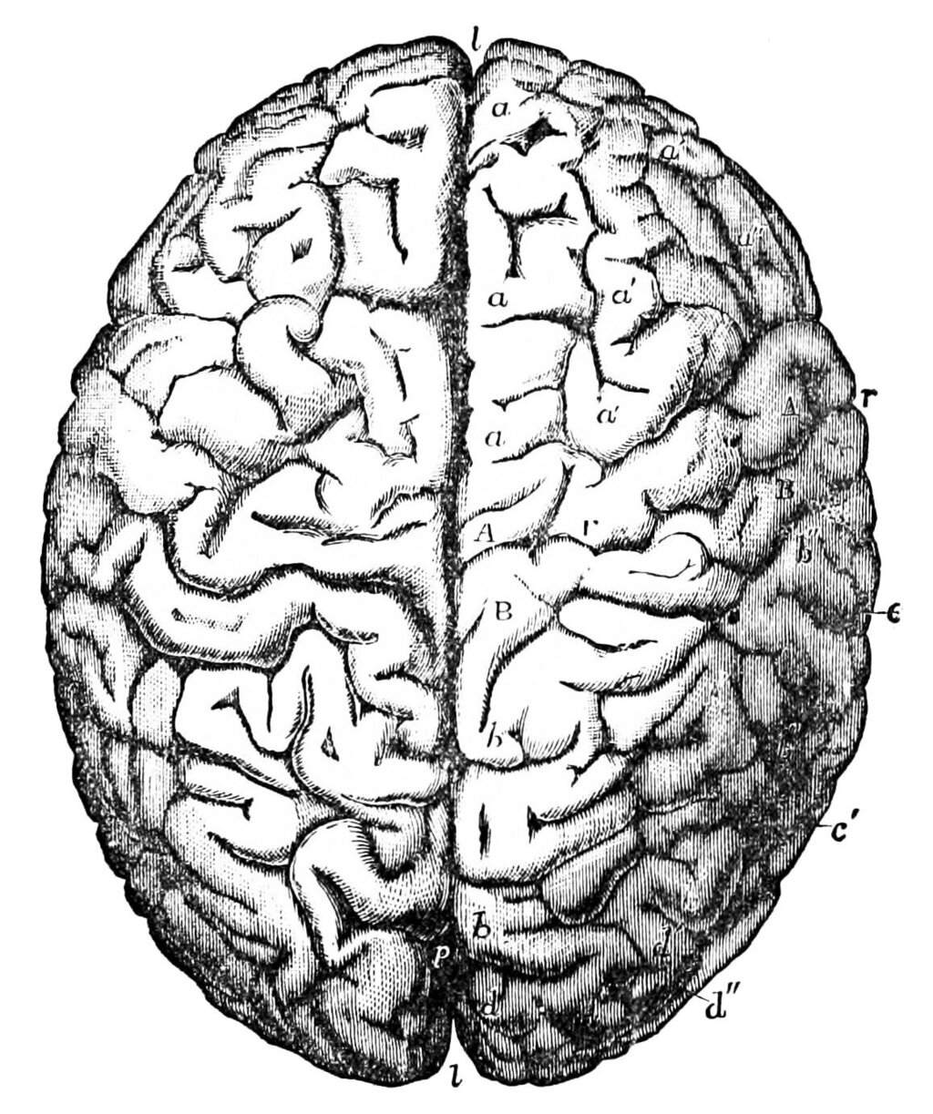 Lesson image