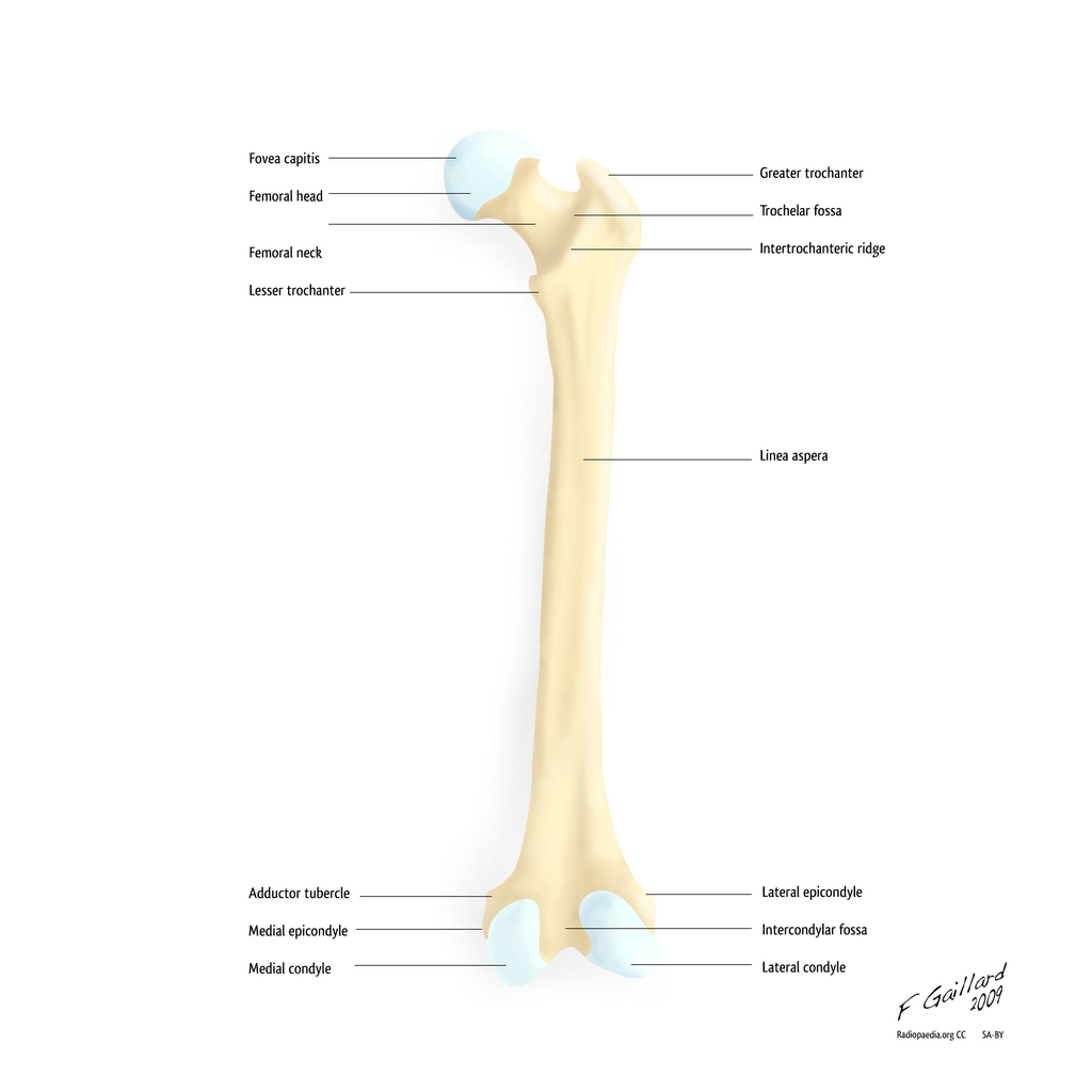 Lesson image