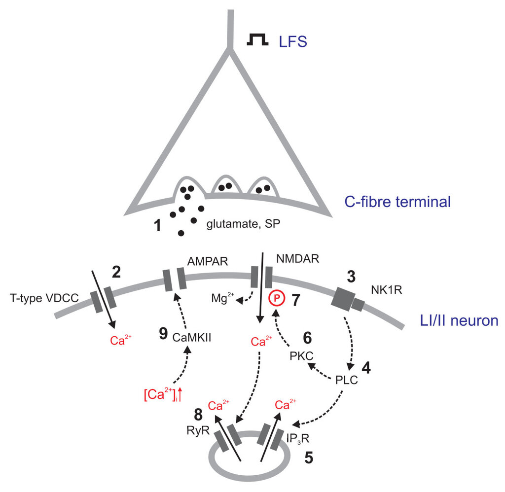 Lesson image