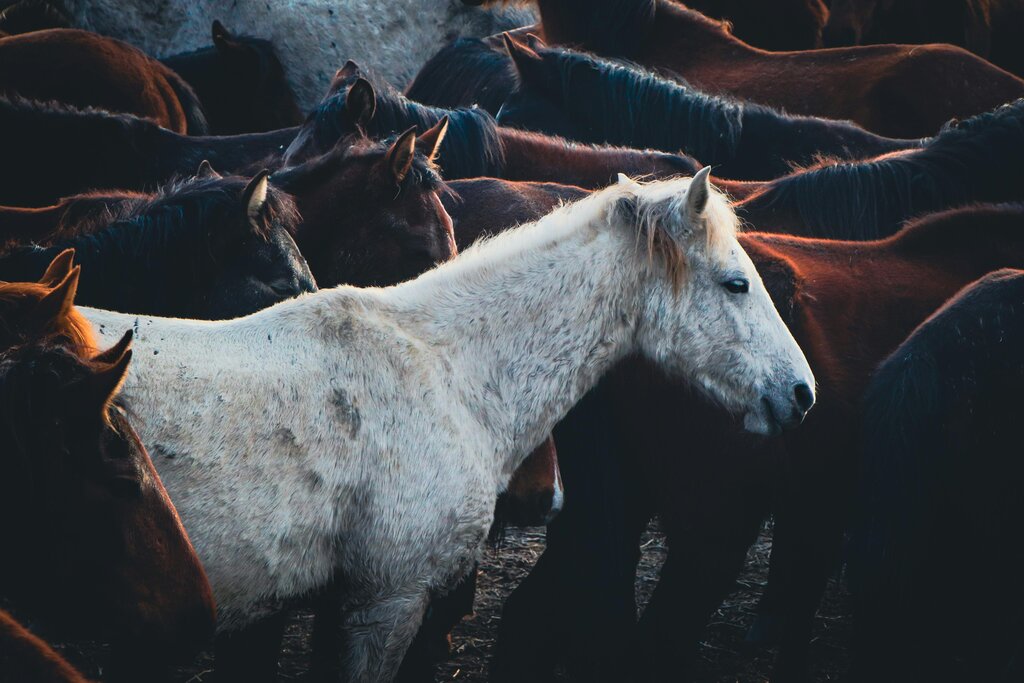 Lesson image