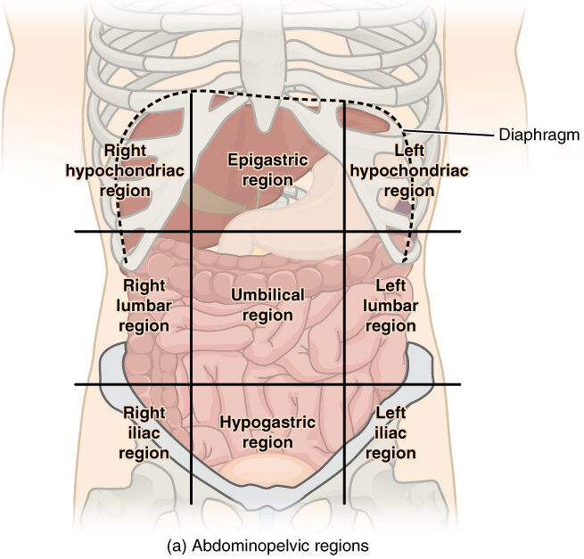 Lesson image