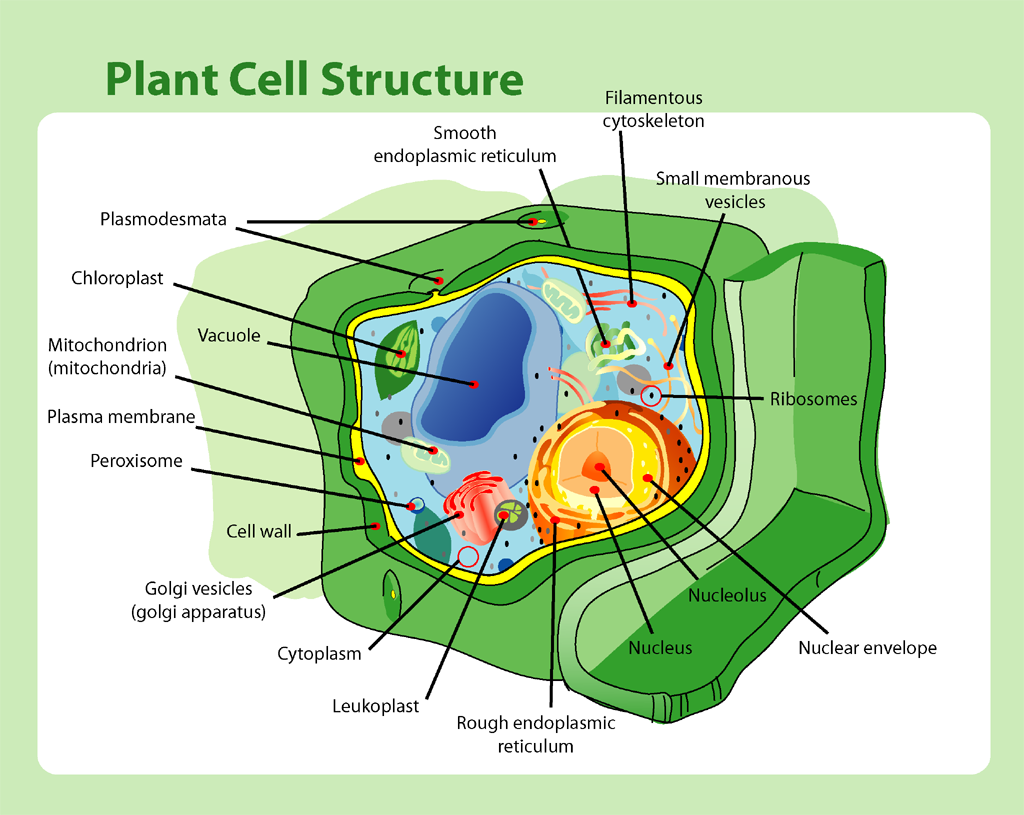 Lesson image