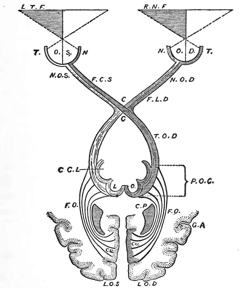 Lesson image