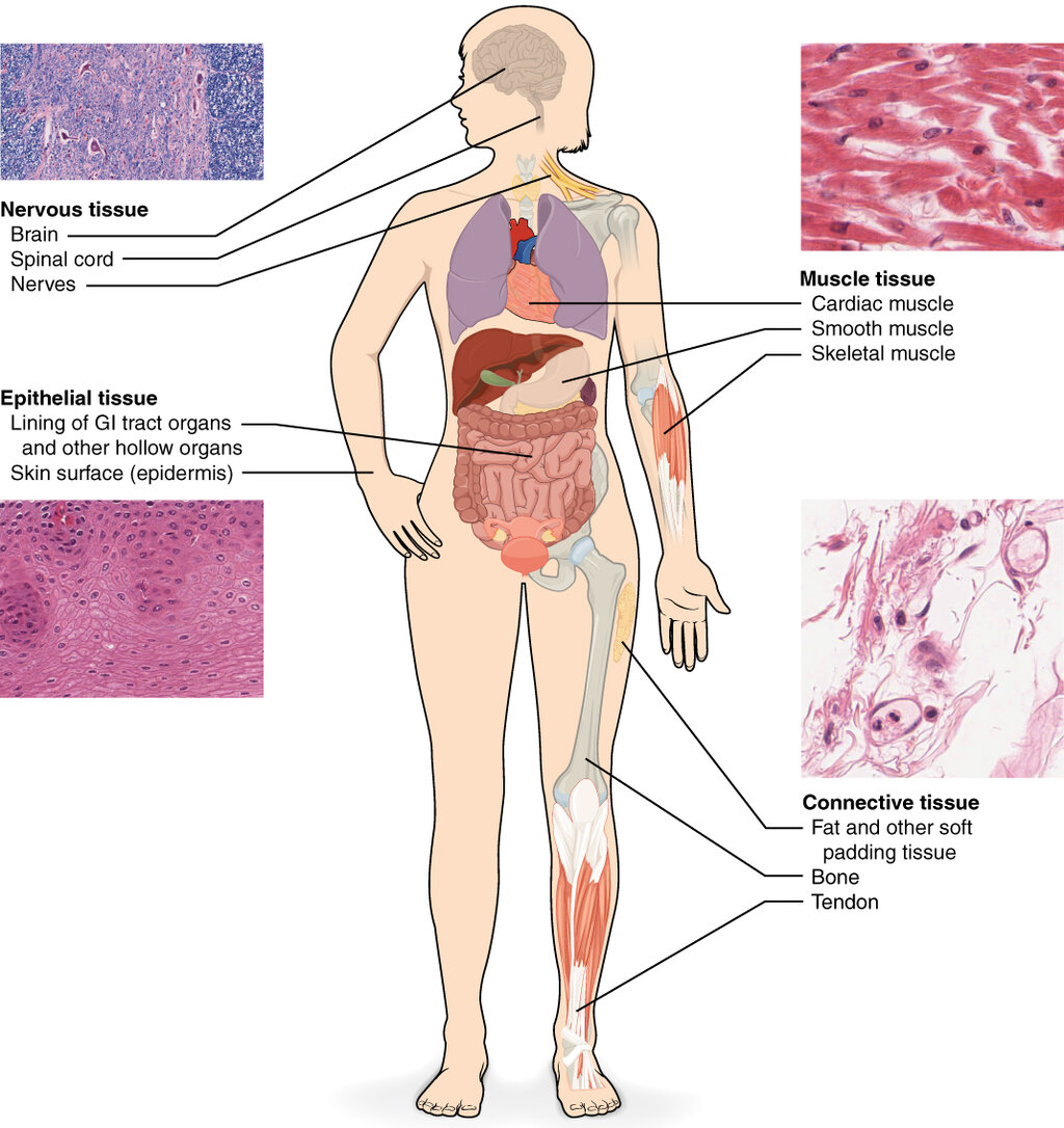 Lesson image