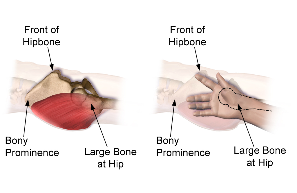 Lesson image