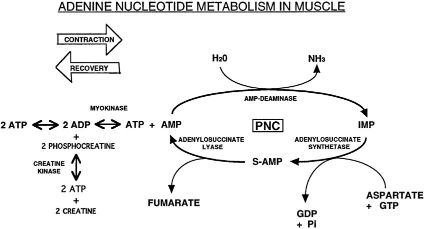 Lesson image