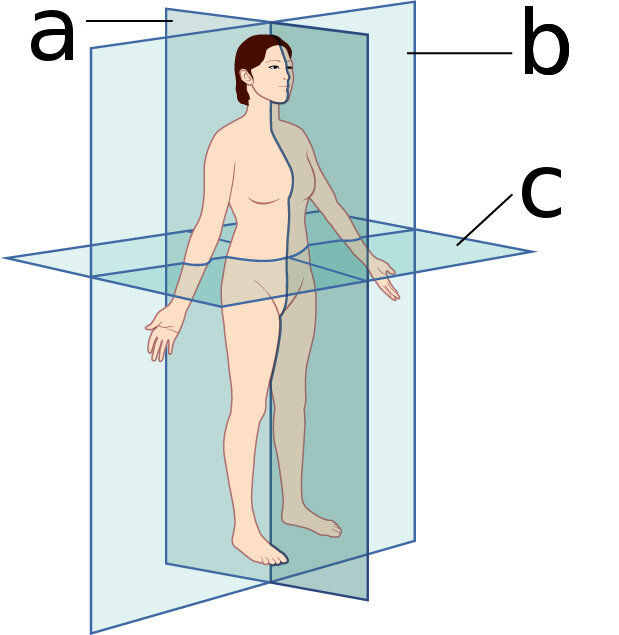 Lesson image