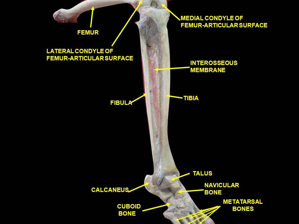 Lesson image