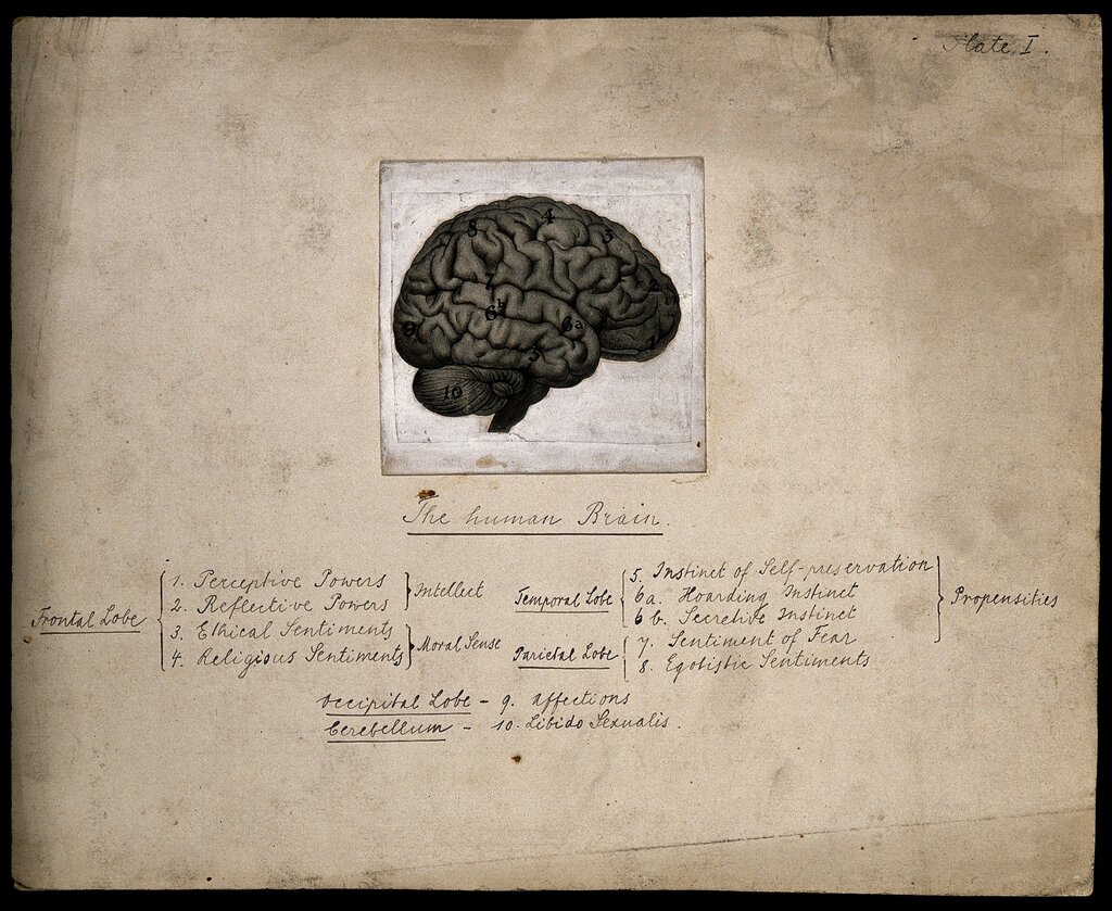 Lesson image