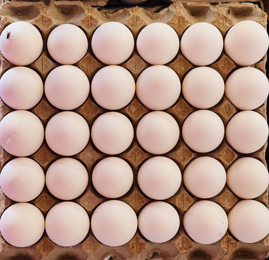 Lesson image