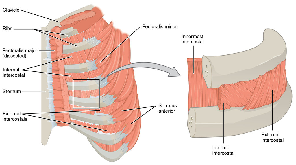 Lesson image