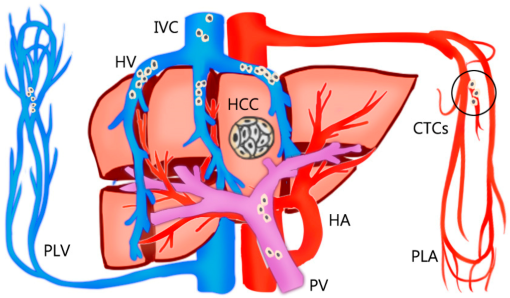 Lesson image
